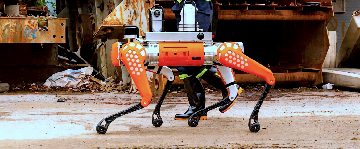 Embodied safety application scenarios